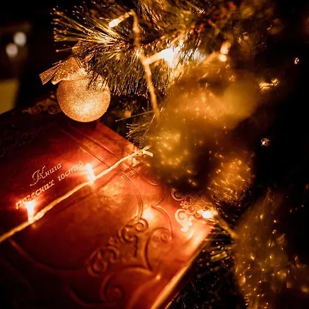 מלון Karpatska Vezha מיגובו